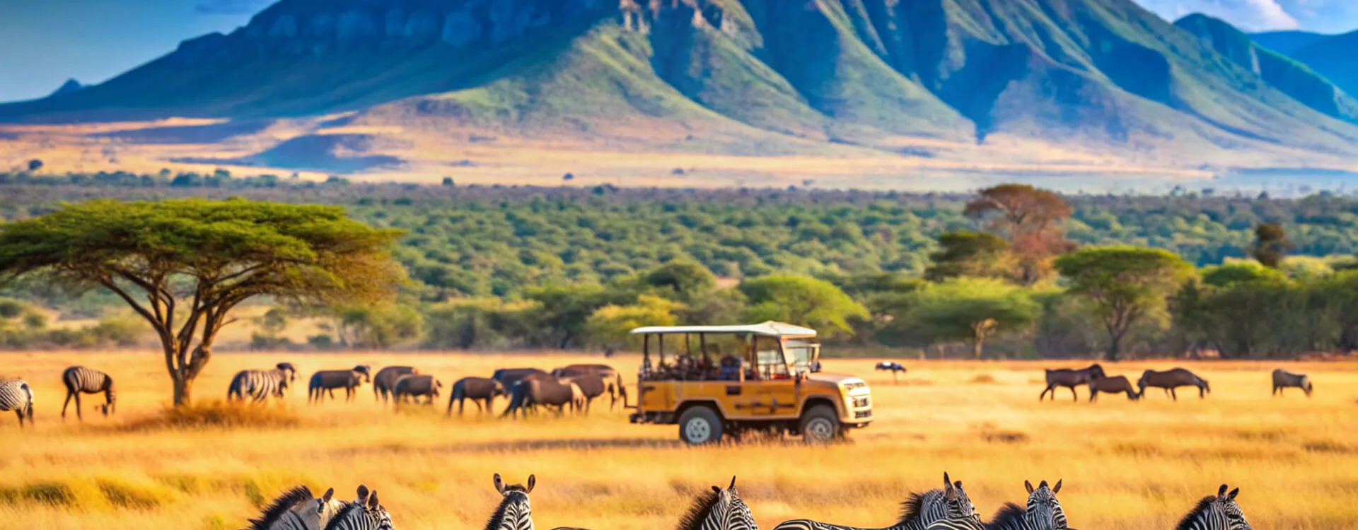 background-image